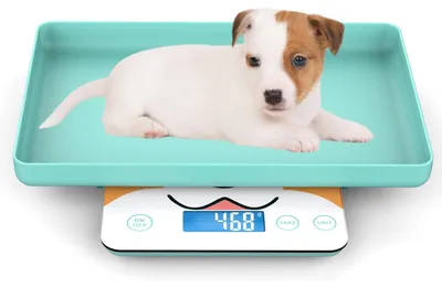 Produktbild von Digitale Mini Waage Kleintierwaage Babywaage - 1 g genau - 15 kg - Blau - Für Babys und Kleintiere