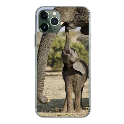 Produktbild von MuchoWow® Handyhülle Schutzhülle Hülle für iPhone 11 Pro Elefant - Tiere - Gras - Natur Silikon Softcase Handy Hülle - Handy
