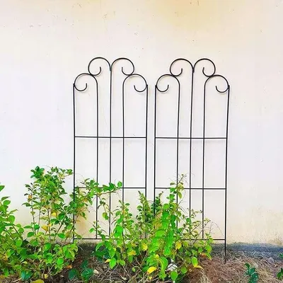 Zdjęcie produktu dla Podpora stojak do roślin pnących metalowa czarna 113x39 cm 2 szt.