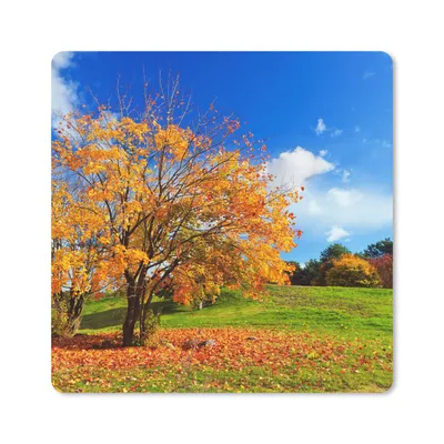 Produktbild von MuchoWow® Mauspad Mousepad Baum - Blätter - Herbst - Jahreszeiten 20x20 cm - Mousepads - Maus Mat - Pad - Mausunterlage - Desk Mat - Bureauartikeln