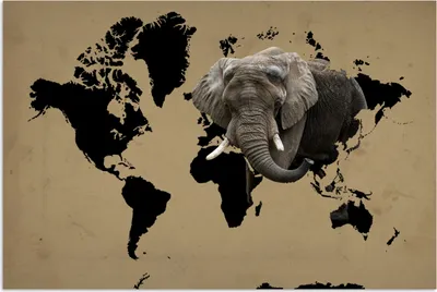 Produktbild von MuchoWow® Poster Weltkarte - Schwarz - Elefant 90x60 cm - Schlafzimmer