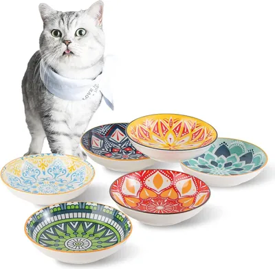 Produktbild von Katzenkeramikteller - bunte Set von 6 - 250ml