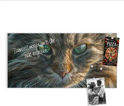 Produktbild von Magnettafel 100x50cm Pinnwand Whiteboard beschreibbar - Nahaufnahme Katze
