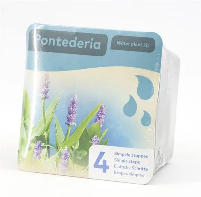 Productafbeelding van Moerings Droogverpakking Vijverplant Pontederia