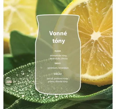 Image de Yankee Candle, senteur Sauge et Agrumes - Recharge