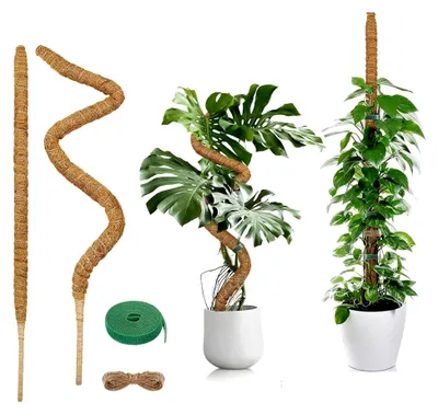 Produktbild von Moosstab für Pflanzen, 2 x 60 cm Biegsame Pflanzenstütze für Monstera mit Zubehör Handgefertigter Kokosstab für Indoor Kletterpflanzen