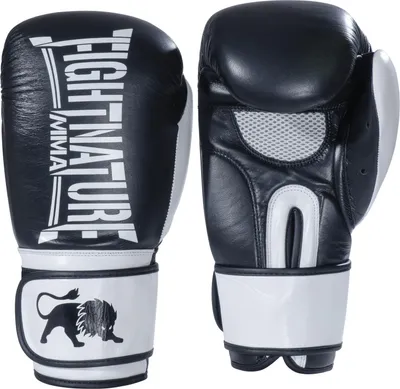 Produktbild von FIGHTNATURE Boxhandschuhe Sparring 14oz