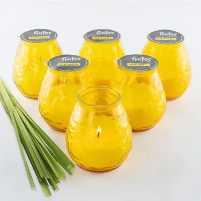 Produktbild von HOFER Bistro-Lichter Citronella - 6 Stück - [GELB] - Windlicht für draußen - Hochwertige Outdoor Kerze im Glas mit Citronella Duft - Deko für draußen