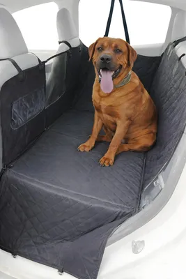 Obrázek produktu pro Ochranná deka do auta pod psa CAR BRUNO