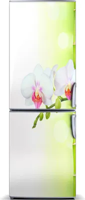 Produktbild von Tulup Kühlschrankdekoration - Magnetmatte - 70 cm x 190 cm - Magnet auf dem Kühlschrank - Orchidee Und Bambus
