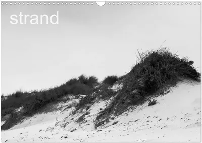 Produktbild von Strand (Wandkalender 2025 DIN A3 quer), CALVENDO Monatskalender