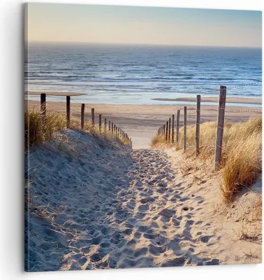 Produktbild von Bild auf Leinwand - Leinwandbild - Meer Strand Düne - 60x60cm - Wand Bild - Wanddeko - Wandbilder - Leinwanddruck - Bilder - Kunstdruck - Wanddekoration - Leinwand bilder - Wandkunst - AC60x60-3612