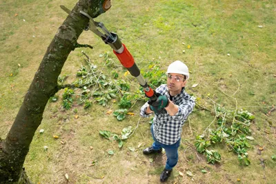 Produktbild von Akku-Gartenschere AdvancedPrune 18V-45 Verlängerungsstange