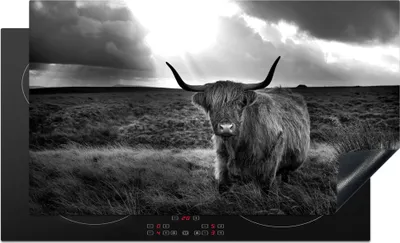 Produktbild von KitchenYeah© Herdabdeckplatte Haariger schottischer Highlander mit Sonnenstrahlen - schwarz und weiß , 91x52cm, Küche Deko, Glaskeramikkochfeld Herdabdeckung, Abdeckplatte fùr Kochfeld