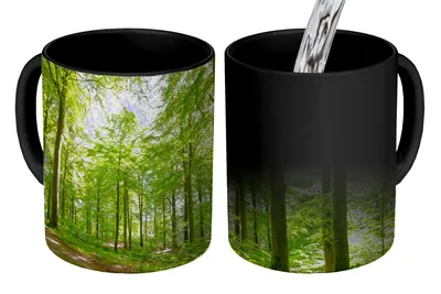 Obrázek produktu pro MuchoWow® Kouzelný pohár Les - Slunce - Strom 350 ml Barva měnící se pohár Dárkový nápad - foto hrnek