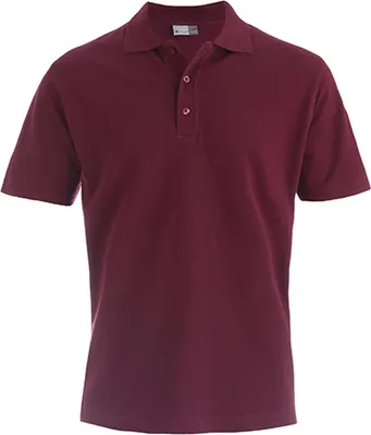 Produktbild von Superior Poloshirt Herren, Burgund, M