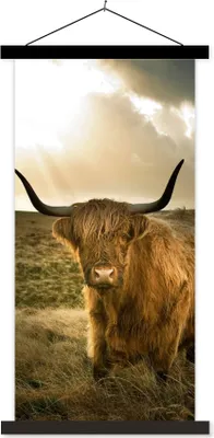 Produktbild von MuchoWow® Textilposter Schottisches Hochlandrind - Sonne - Gras 40x80 cm mit schwarzem Rahmen - Wandemalerei