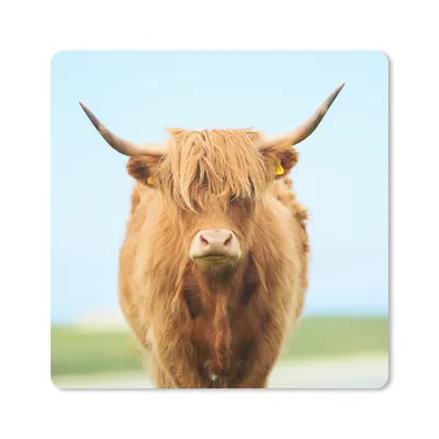 Produktbild von MuchoWow® Mauspad Mousepad Schottischer Highlander - Haare - Gras 20x20 cm - Mousepads - Maus Mat - Pad - Mausunterlage - Desk Mat - Bureauartikeln
