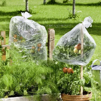 Produktbild von Tomaten Folienschlauch für 5-7 Tomatenstöcke weiß