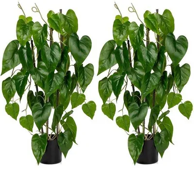 Immagine prodotto di Filodendro artificiale da 76 cm, pianta decorativa moderna in vaso, grande, decorativa, per soggiorno, ufficio, giardini interni ed esterni