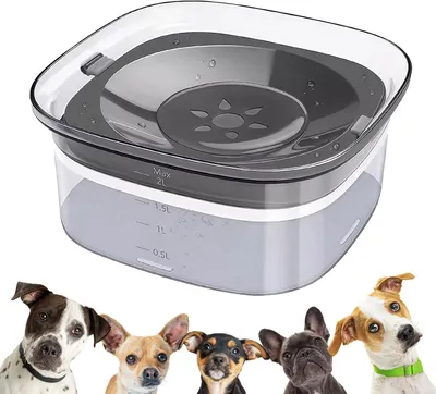 Produktbild von Auslaufsicherer Wassernapf für Hunde: 2 l, kein Überlaufen, Wassernapf für Hunde, Katzen und andere Haustiere, auslaufsicher und rutschfest, transparent