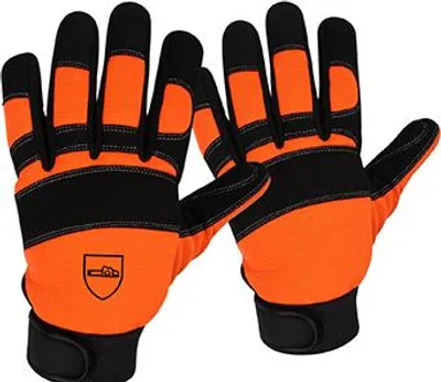 Image de Gants De Tronconnage