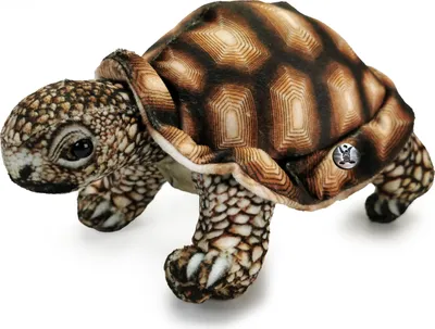 Produktbild von Schildkröte Landschildkröte Plüschtier Kuscheltier Plüschschildkröte DAPHNE