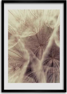 Produktbild von Bild - Bilderrahmen - Foto - 70 cm x 100 cm - MDF - Rahmen - Wandkunst - Löwenzahn