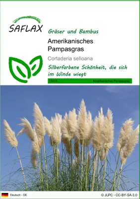 Produktbild von SAFLAX - Amerikanisches Pampasgras - Cortaderia selloana - 200 Samen