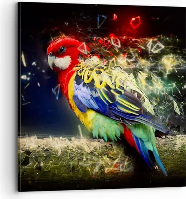 Produktbild von Bild auf Leinwand - Leinwandbild - Papagei Vogel Feder - 70x70cm - Wand Bild - Wanddeko - Wandbilder - Leinwanddruck - Bilder - Kunstdruck - Wanddekoration - Leinwand bilder - Wandkunst - AC70x70-3682