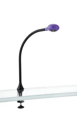 Produktbild von Massive Kenny MA 667139610 Violet