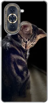 Produktbild von König Design Hülle kompatibel mit Huawei nova 10 Kunststoff Soft Handyhülle - Handy Case Junge Katze