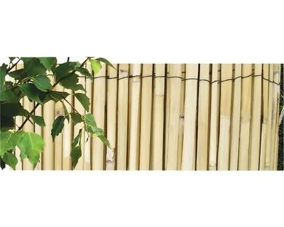 Obrázek produktu pro Nohel Garden Rohož - rákos štípaný, 5m Výška: 1 m