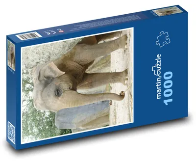 Zdjęcie produktu dla martinpuzzle - Puzzle 1000 elementów - Słoń indyjski