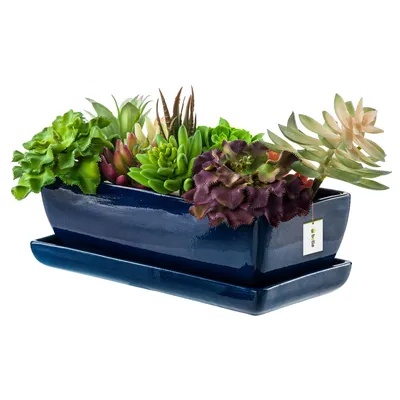 A dark blue ceramic planter with a rectangular shape and a matching saucer, filled with various artificial succulents.