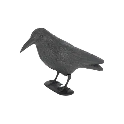 Image de Esschert Design Effaroucheur Corneille ; FY18