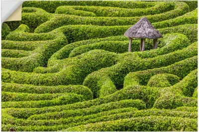 Produktbild von ARTland Wandbild, selbstklebend Labyrinth im Glendurgan Garden, England Größe: 30x20 cm