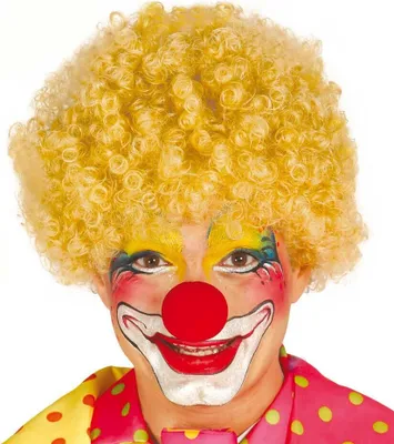 Produktbild von Clown Kostüm Karneval Wig Curly Spaß Party Bunt Karneval Fasching Lustige Frisur Clown Kostüm Zubehör Lockige Witzige Mütze Feier Festlichkeit, Farbe: Gelb