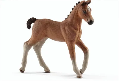 Produktbild von Schleich Hannoveraner Fohlen