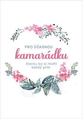 Obrázek produktu pro Přání pro kamarádku