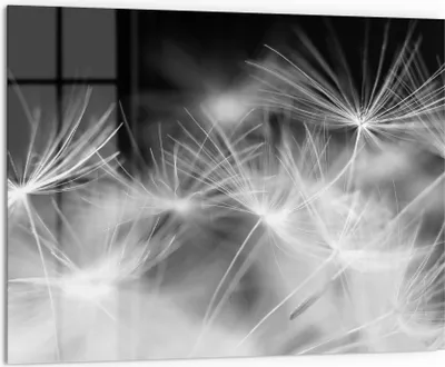 Produktbild von DEQORI Küchenrückwand Glas 80x60 cm 'Pusteblumenflug' Spritzschutz Bad Rückwand Küche