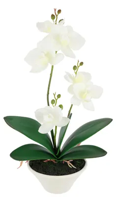 Produktbild von Kunstorchidee Weiß im Topf 30 cm – Realistische künstliche Orchidee mit Blüten &