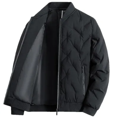 Produktbild von Isolierte, gesteppte Daunenjacke mit Stehkragen