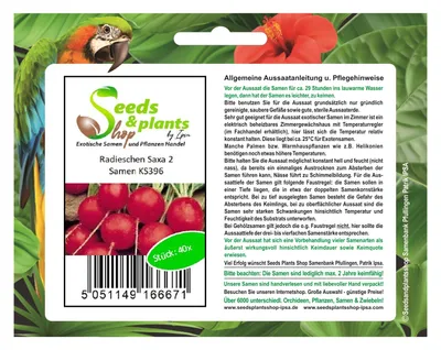Produktbild von 40x Radieschen Saxa2 - Samen Rettich Gemüse Salat Garten Kräuter KS396