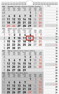 A calendar page showing multiple months of 2026, with a red box around January 12th.