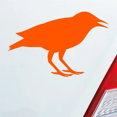Produktbild von Auto Aufkleber Rabe Vogel Bird Vogelfreund 15x10 cm Orange Sticker Heckscheibenaufkleber