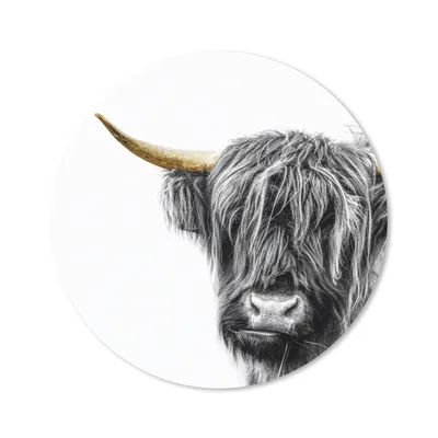 Produktbild von MuchoWow® Mauspad Mousepad Schottischer Highlander - Tiere - Goldene Hörner 20x20 cm - Mousepads - Maus Mat - Pad - Mausunterlage - Schreibtischmatte