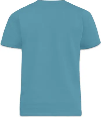 Image de Duke - "D555 Flyers 2" T-shirt pour homme DC170 (8XL) (Petrol)