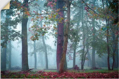 Produktbild von ARTland Wandbild, selbstklebend Nebel im Wald Größe: 120x80 cm