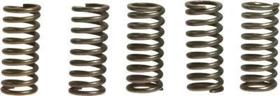 Immagine prodotto di Kit 5 molle frizione EBC rinforzate 10% CSK033 per Honda